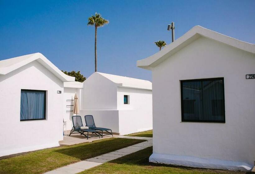 小型套房, Club Maspalomas Suites & Spa - Adults Only