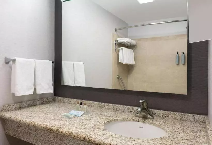 اتاق کلاسیک با تخت دونفره, Courtyard Santa Fe