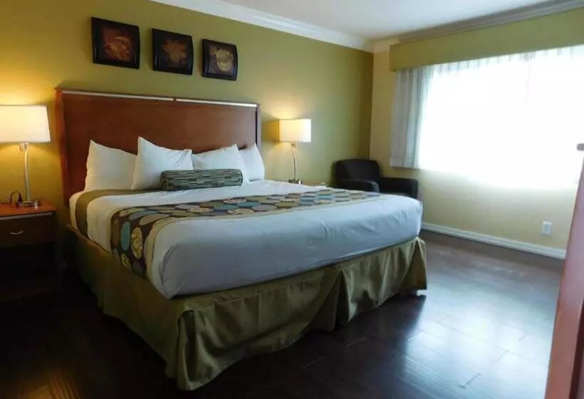 اتاق استاندارد با تخت بزرگ, Deer Haven Inn