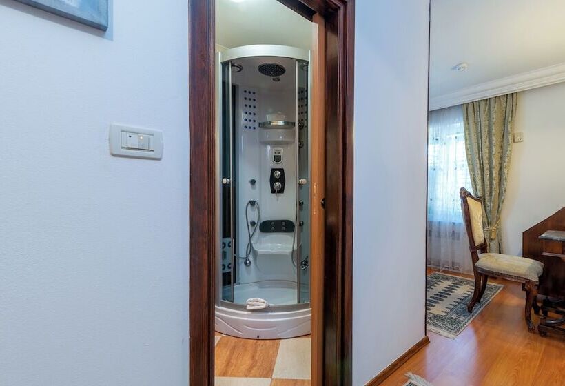 اتاق سوپریور, Heritage Hotel Pasike