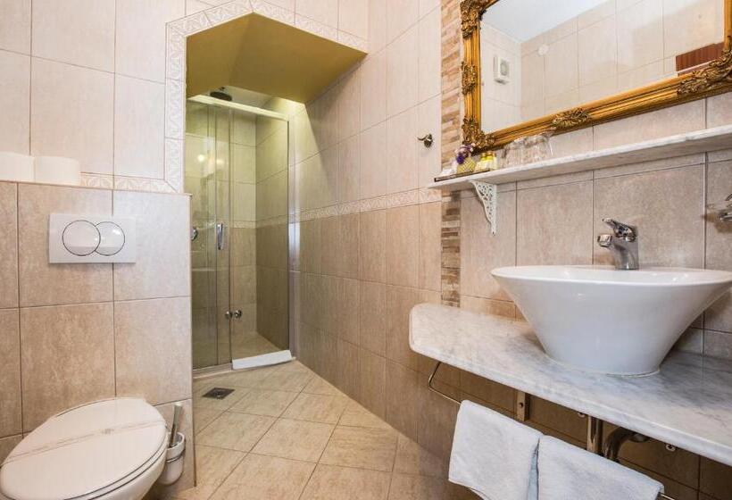 اتاق سوپریور, Heritage Hotel Pasike