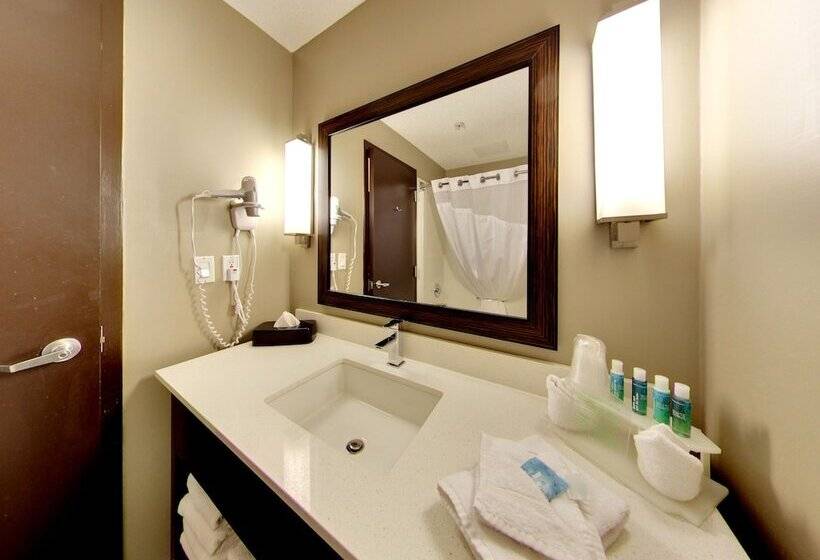 חדר סטנדרט, Holiday Inn Express Hotel & Suites   Edmonton International Airport, An Ihg