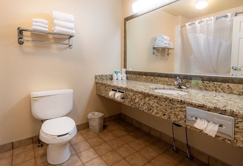 חדר סטנדרט, Holiday Inn Express Hotel & Suites   Edmonton International Airport, An Ihg