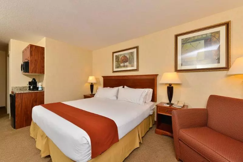 キングサイズベッドのエクゼクティブルーム, Holiday Inn Express Hotel & Suites   Edmonton International Airport, An Ihg