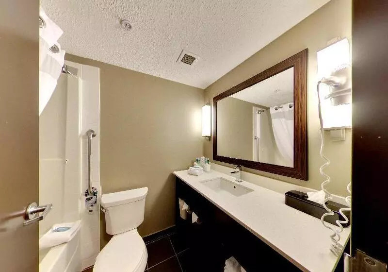 キングサイズベッドのエクゼクティブルーム, Holiday Inn Express Hotel & Suites   Edmonton International Airport, An Ihg