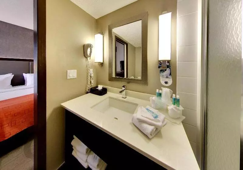 キングサイズベッドのエクゼクティブルーム, Holiday Inn Express Hotel & Suites   Edmonton International Airport, An Ihg