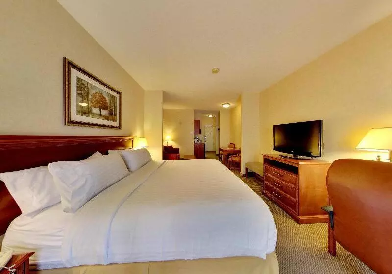 エクゼクティブルーム, Holiday Inn Express Hotel & Suites   Edmonton International Airport, An Ihg