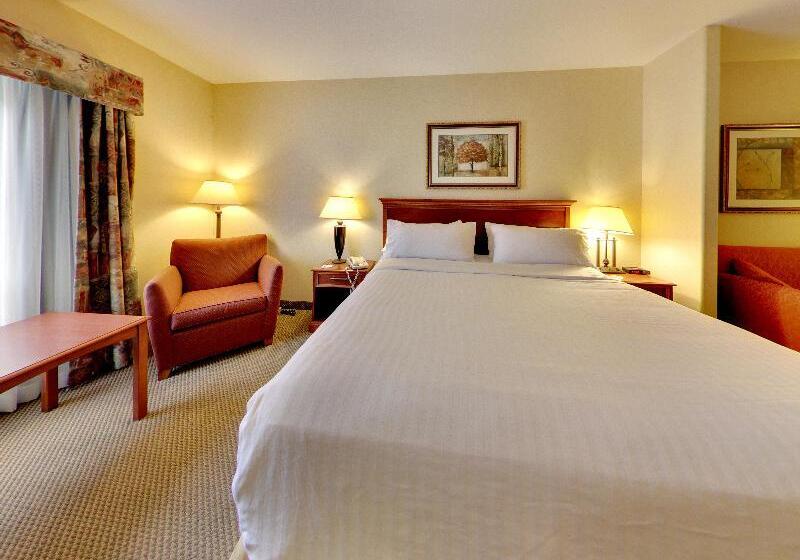 חדר אקזקיוטיב, Holiday Inn Express Hotel & Suites   Edmonton International Airport, An Ihg