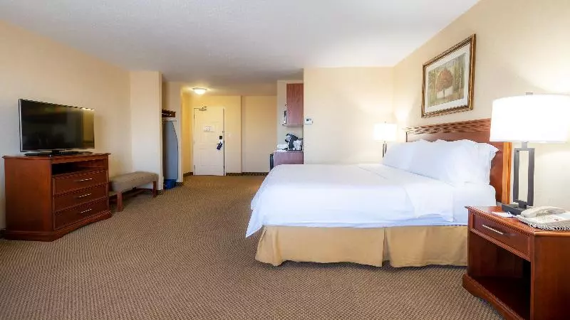 キングサイズベッドのスタンダードルーム, Holiday Inn Express Hotel & Suites   Edmonton International Airport, An Ihg