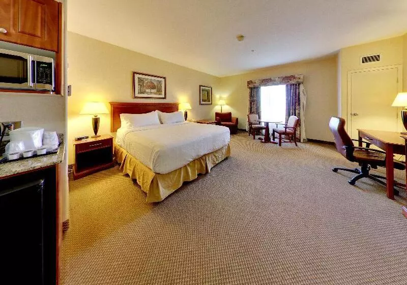 キングサイズベッドのスタンダードルーム, Holiday Inn Express Hotel & Suites   Edmonton International Airport, An Ihg
