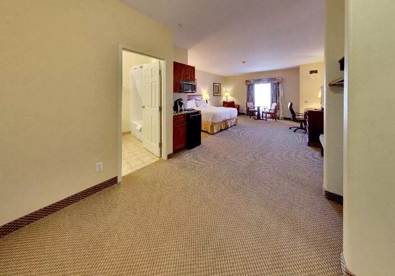 キングサイズベッドのスタンダードルーム, Holiday Inn Express Hotel & Suites   Edmonton International Airport, An Ihg