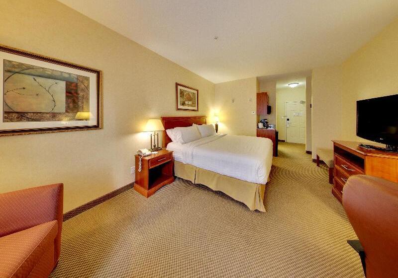 חדר סטנדרט עם מיטת קינג, Holiday Inn Express Hotel & Suites   Edmonton International Airport, An Ihg