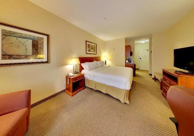 キングサイズベッドのスタンダードルーム, Holiday Inn Express Hotel & Suites   Edmonton International Airport, An Ihg
