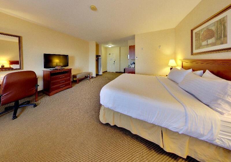 חדר סטנדרט עם מיטת קינג, Holiday Inn Express Hotel & Suites   Edmonton International Airport, An Ihg