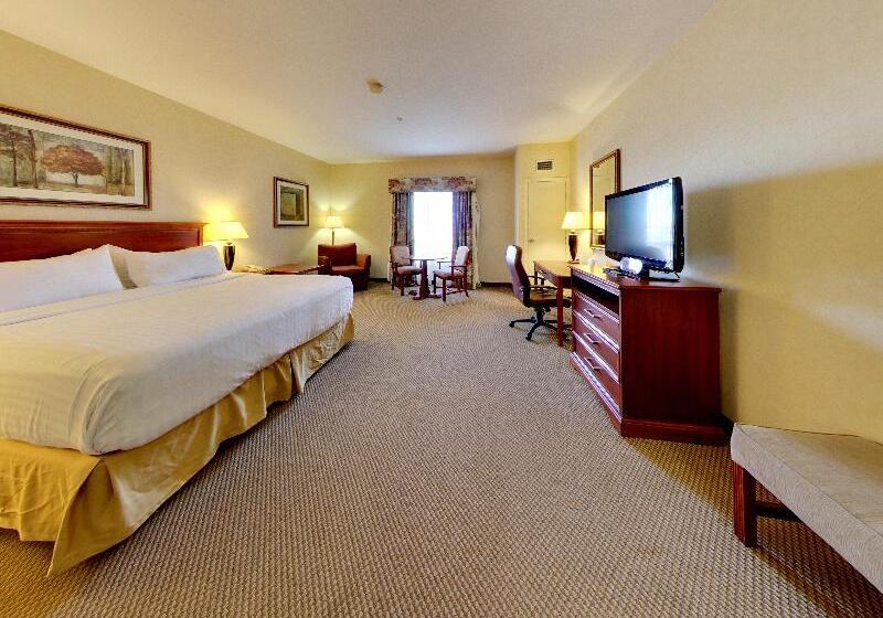 Стандартный Номер Кровать Кинг, Holiday Inn Express Hotel & Suites   Edmonton International Airport, An Ihg