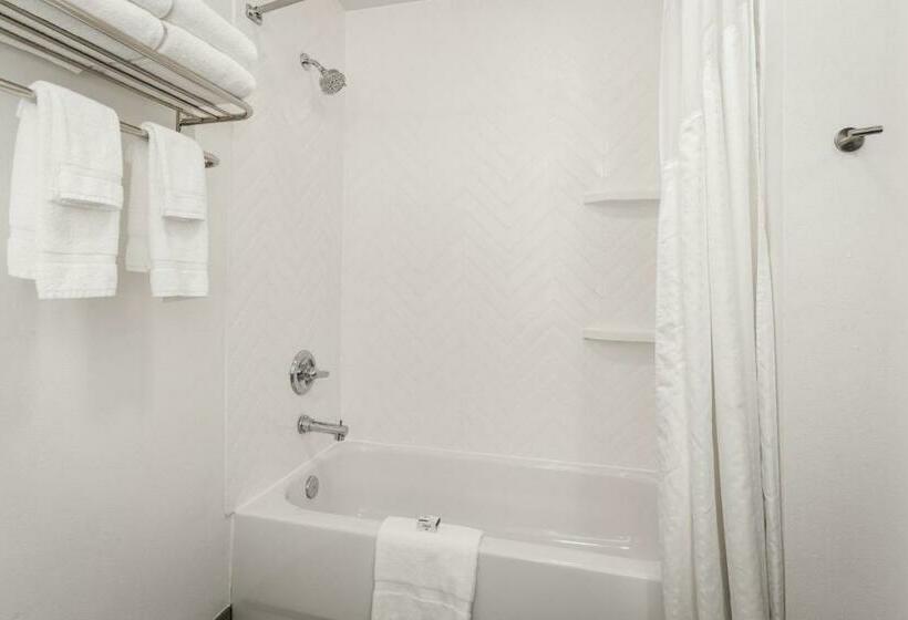 스탠다드 룸 킹사이즈 침대, Holiday Inn & Suites Bothell An Ihg