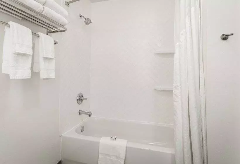 身障者適用スタンダードルーム, Holiday Inn & Suites Bothell An Ihg