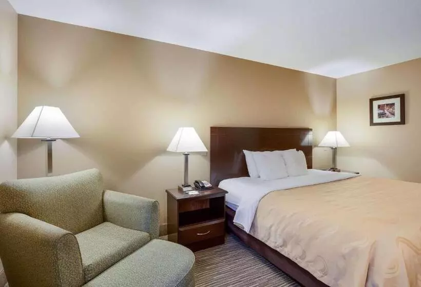 Standard-huone King-vuode, Quality Inn I70 Near Kansas Speedway