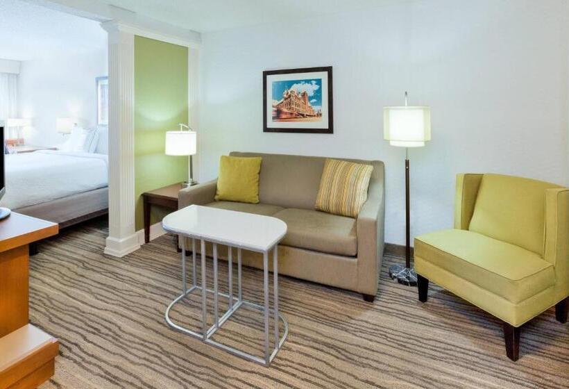 إستوديو قياسى سرير كينج, Springhill Suites Minneapolis Eden Prairie