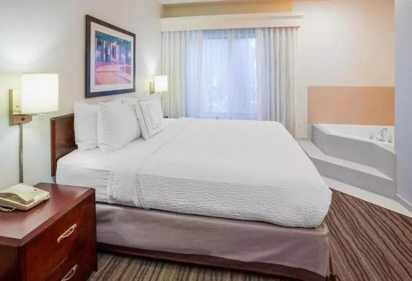 キングサイズベッドのスイートルーム, Springhill Suites Minneapolis Eden Prairie