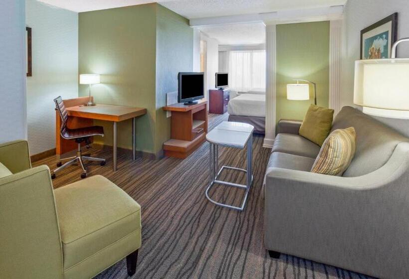 جناح لذوى الاحتياجات الخاصة, Springhill Suites Minneapolis Eden Prairie