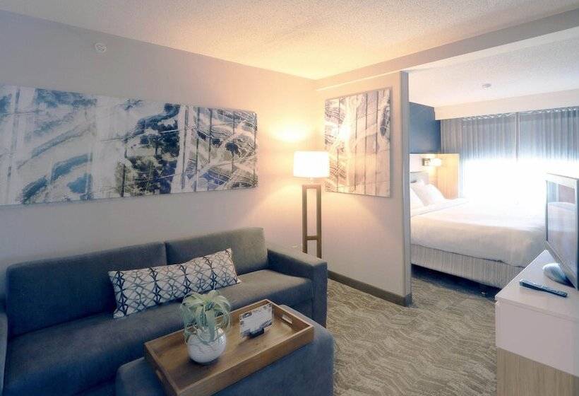 جناح لذوى الاحتياجات الخاصة, Springhill Suites Minneapolis Eden Prairie