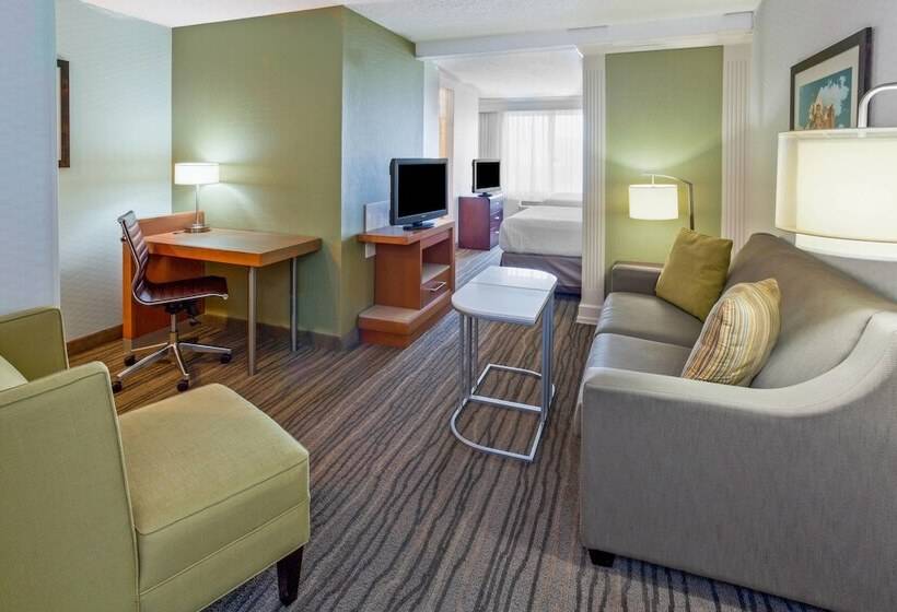 Suíte para Deficientes Físicos, Springhill Suites Minneapolis Eden Prairie