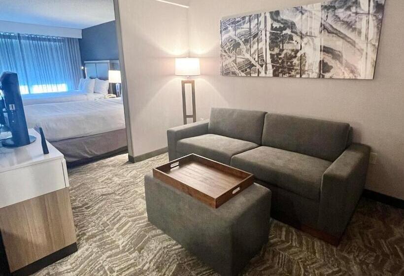장애인을 위한 스위트, Springhill Suites Minneapolis Eden Prairie