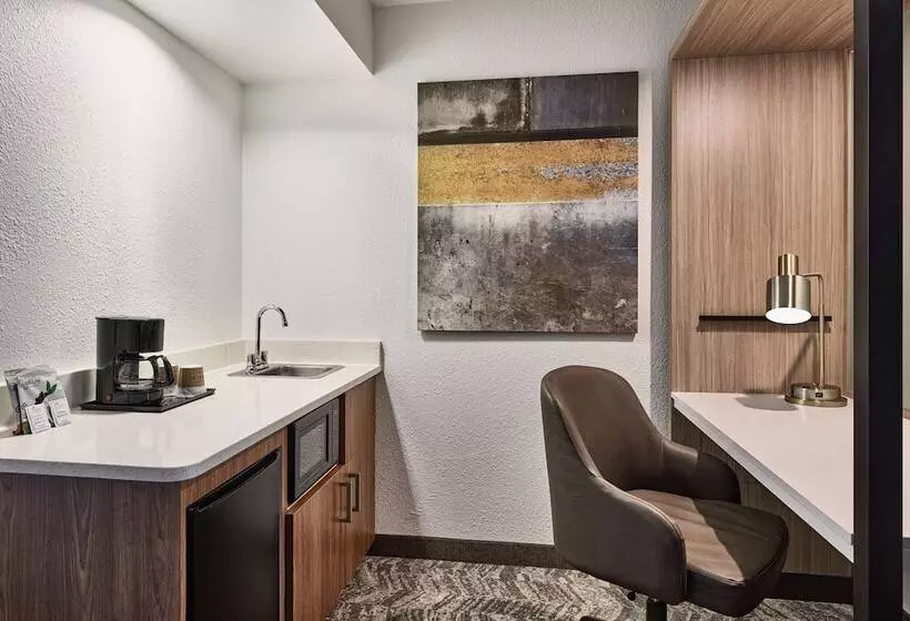 スタンダードスタジオ, Springhill Suites Phoenix Tempe Airport