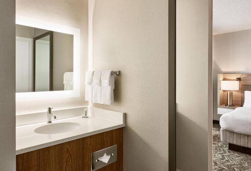 استودیوی استاندارد, Springhill Suites Phoenix Tempe Airport