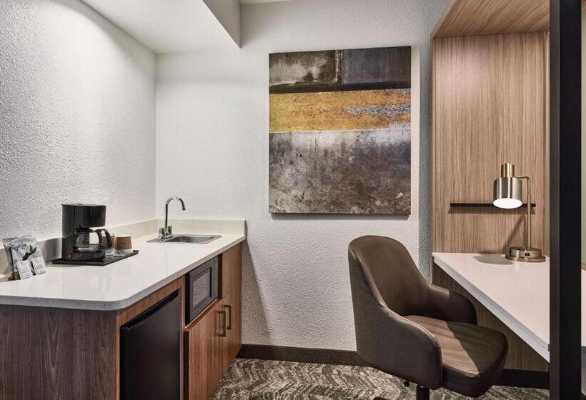 استودیوی استاندارد, Springhill Suites Phoenix Tempe Airport