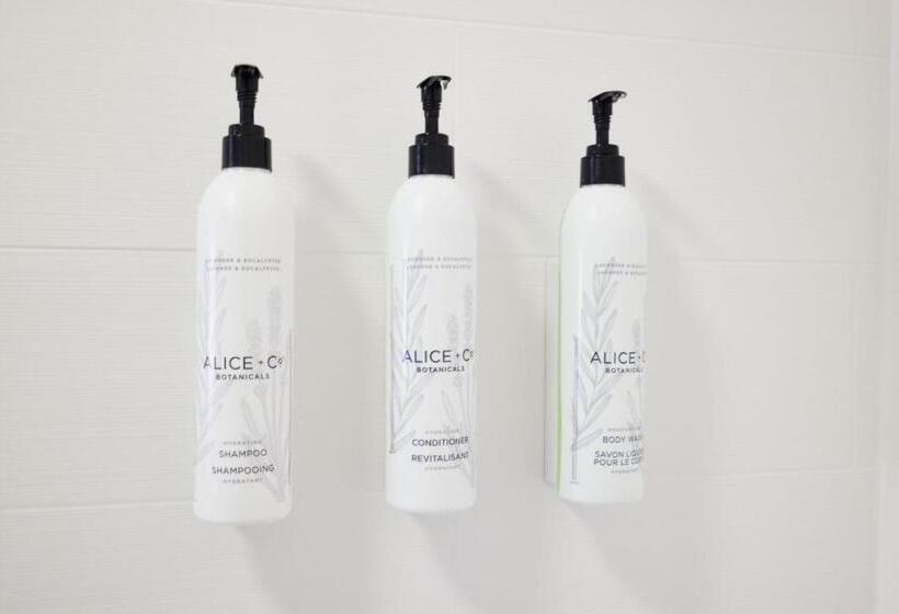 استودیو استاندارد با تخت کینگ, Springhill Suites Phoenix Tempe Airport