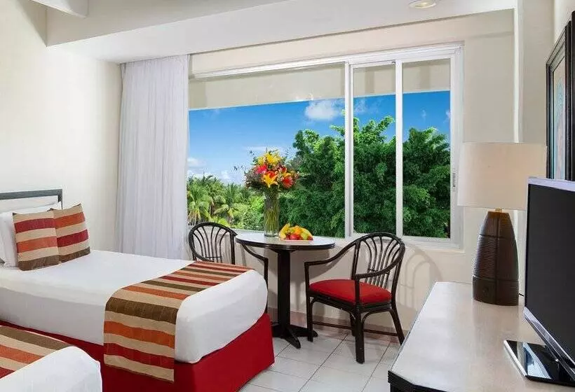 اتاق استاندارد, Oasis Palm