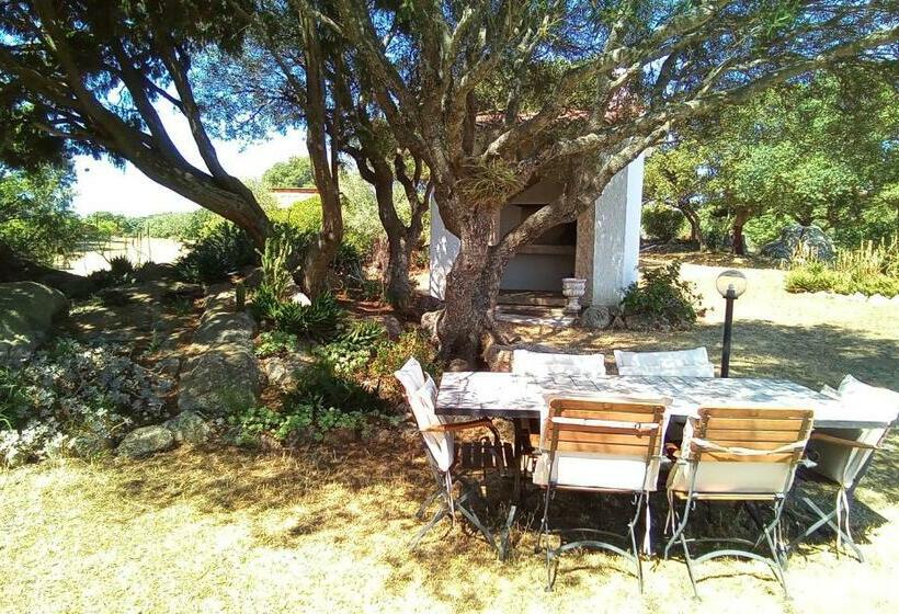 חדר דלוקס, B&b Andrieddu