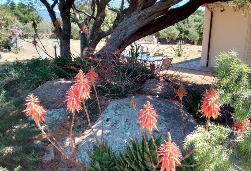 חדר דלוקס, B&b Andrieddu