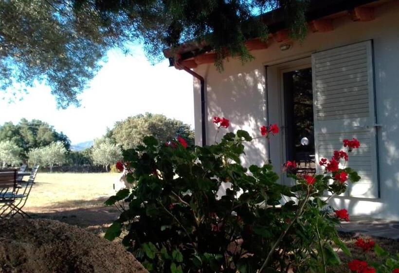 חדר דלוקס, B&b Andrieddu