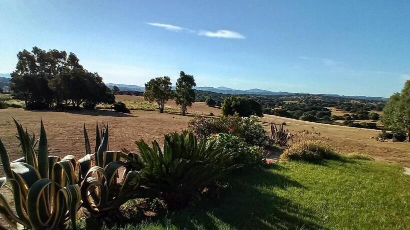 חדר דלוקס, B&b Andrieddu