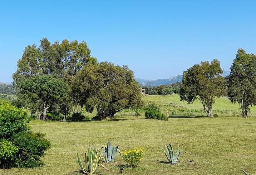 חדר דלוקס, B&b Andrieddu