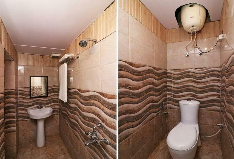 Klassiskt Trippelrum, Flagship Dolphin