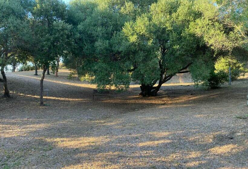 اتاق استاندارد سه نفره, Li Paduleddi Country Guest House