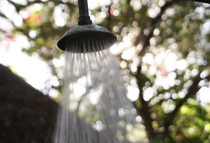 اتاق استاندارد, Discovery Bed And Breakfast