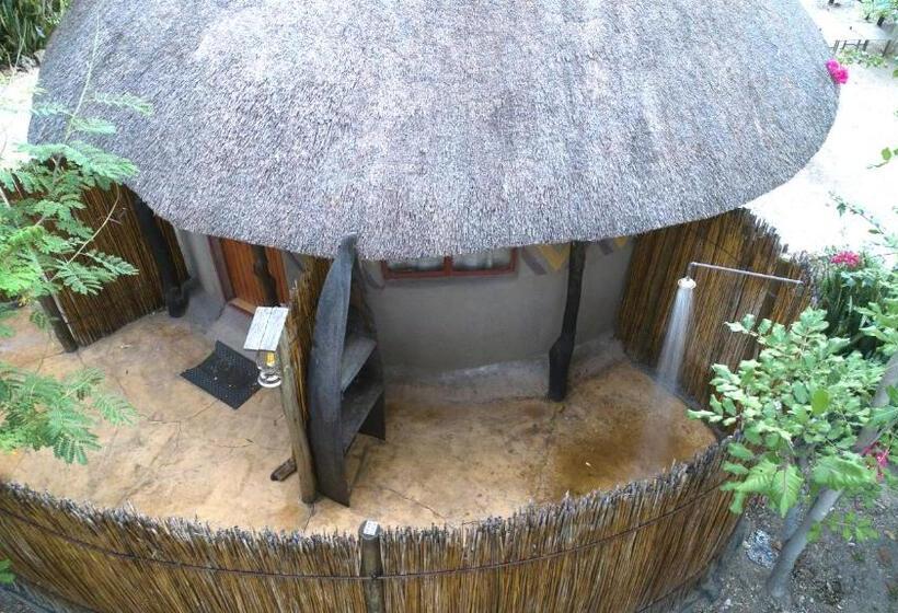 اتاق استاندارد, Discovery Bed And Breakfast