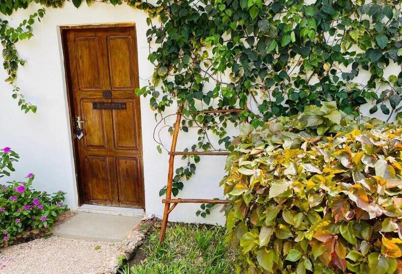 Номер Стандарт, Babalao Bungalows