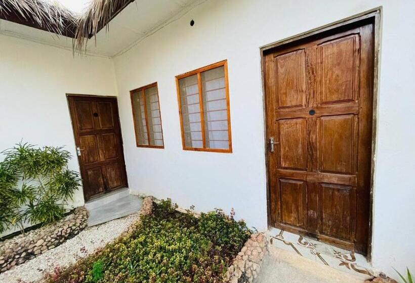 Номер Стандарт, Babalao Bungalows