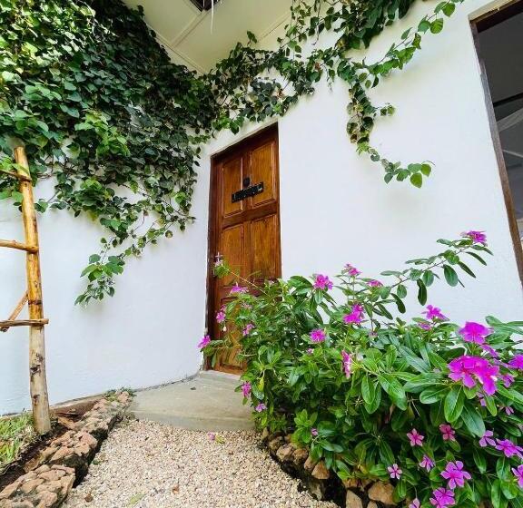 Номер Стандарт, Babalao Bungalows