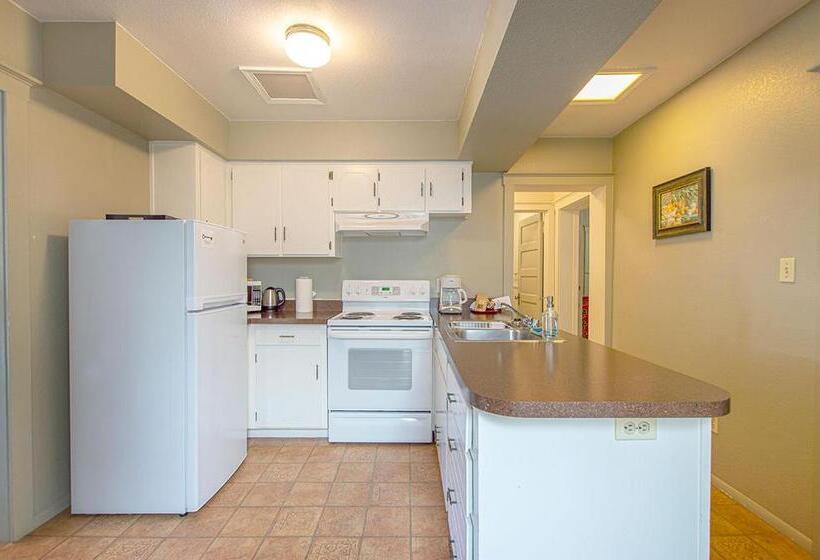 شقة ديلوكس غرفة واحدة, Eldorado Suites