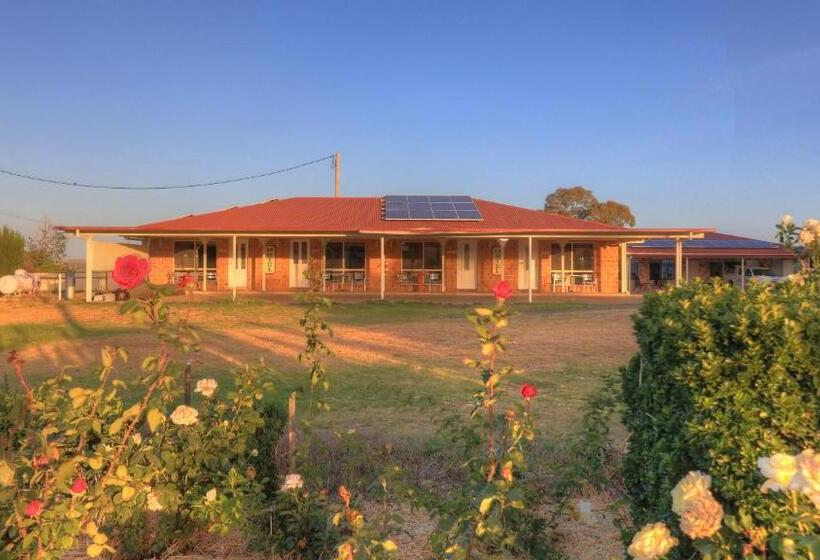 סוויטה משפחתית, Golfers Inn