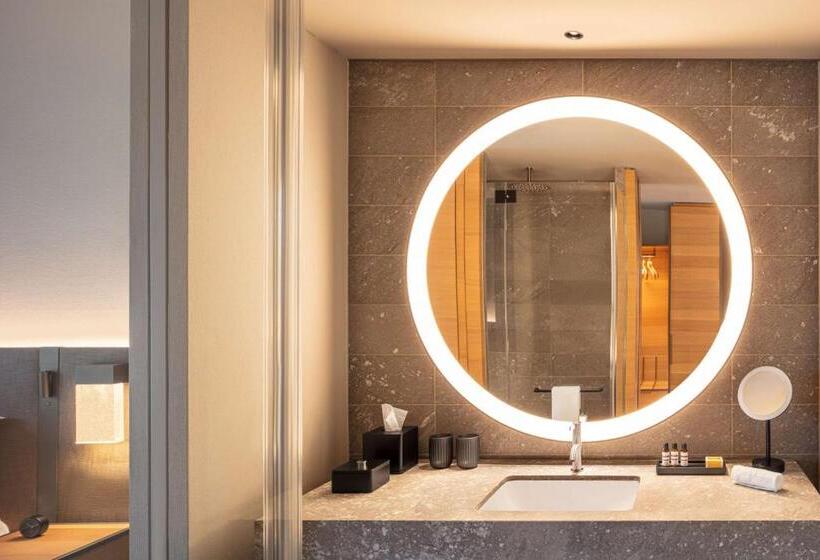 اتاق دلوکس با چشم‌انداز پارک, Hyatt Regency Zurich Airport Circle
