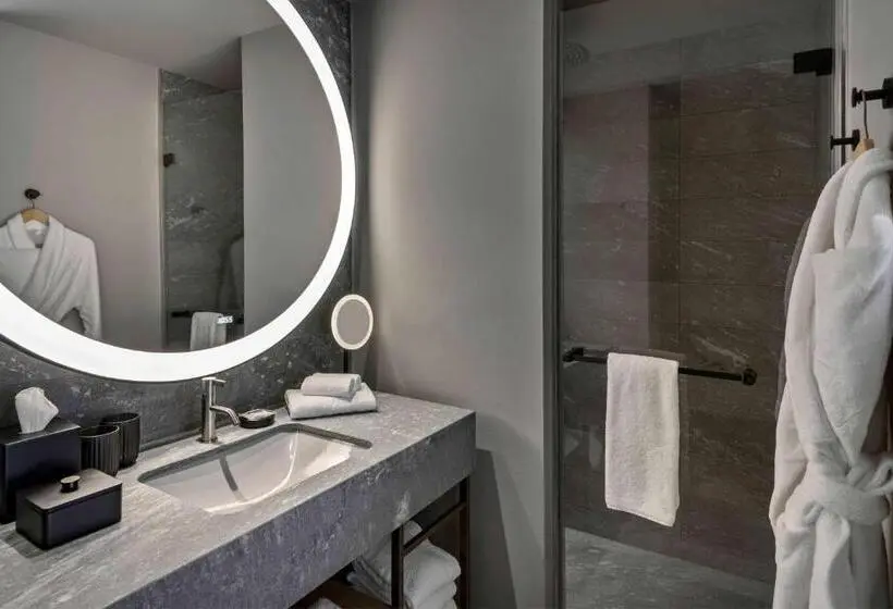 اتاق استاندارد با تخت بزرگ, Hyatt Regency Zurich Airport Circle