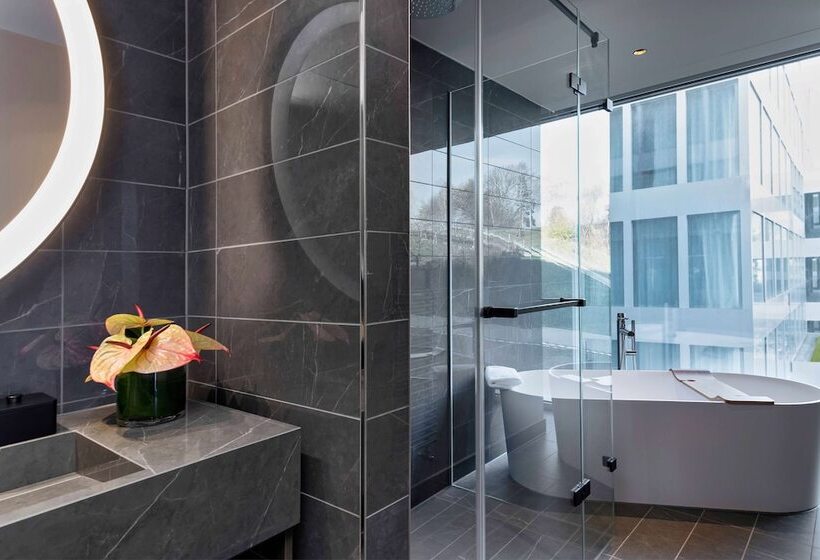 Suite, Hyatt Regency Zurich Airport Circle